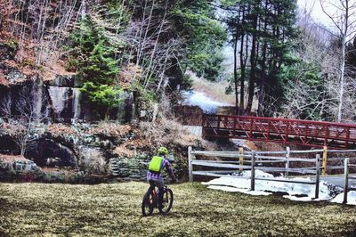 Rear view of man riding bicycle against trees