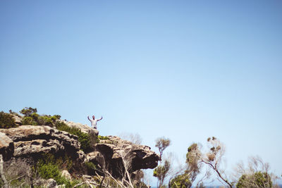 Low angle view of plants against clear blue sky