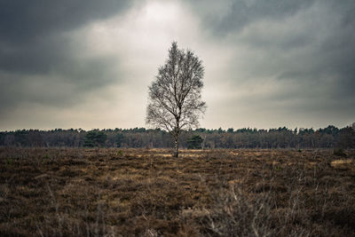 Scenic view of field against sky during sunset