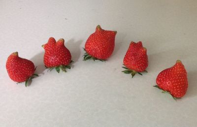 Close-up of strawberry over white background