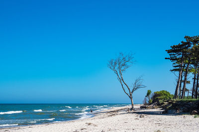 Scenic view of beach against clear blue sky