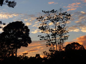 Low angle view of silhouette trees against sky during sunset