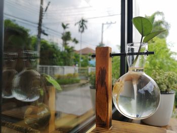 Close-up of potted plant on glass window