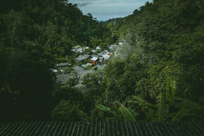 High angle view of trees and plants against sky