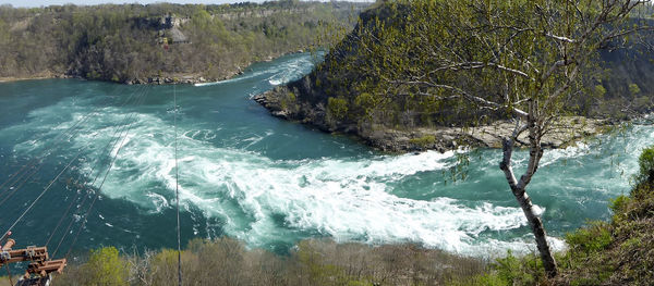 View of waterfall along trees