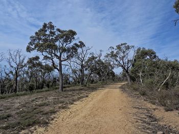 Dirt road amidst trees on field against sky