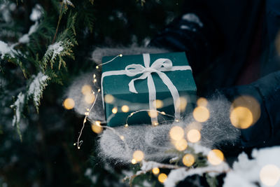 Close-up of christmas tree