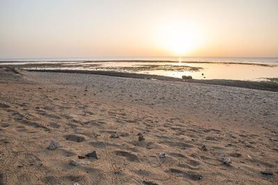 Scenic view of beach against clear sky during sunset