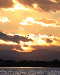 Scenic view of sea against dramatic sky during sunset