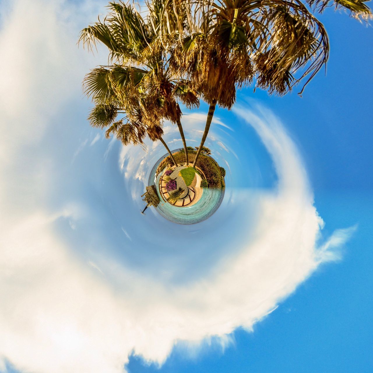 sky, cloud - sky, tree, plant, low angle view, nature, day, growth, no people, blue, beauty in nature, outdoors, hanging, palm tree, sunlight, leaf, tropical climate, branch, scenics - nature, plant part, directly below, digital composite