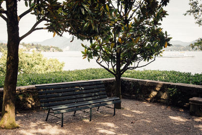 Bench in park by sea