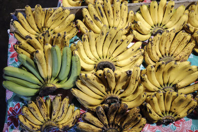 Close-up of bananas