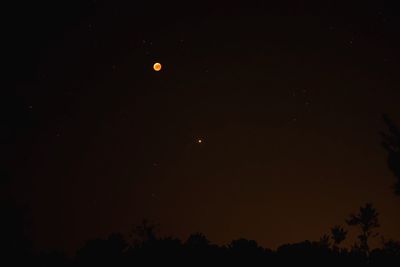 Low angle view of silhouette trees against sky at night