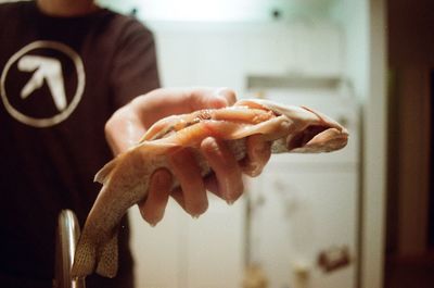 Close-up of hand holding bread