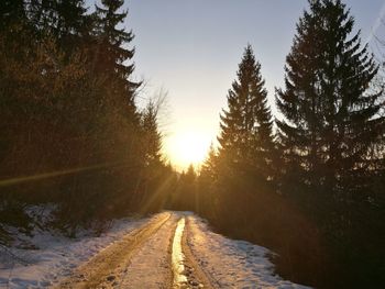 Road amidst trees against sky during sunset