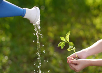 Close-up of hand holding water splashing on plant