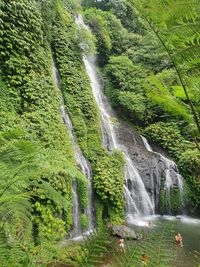 Banyumala twin waterfall, bali indonesia.