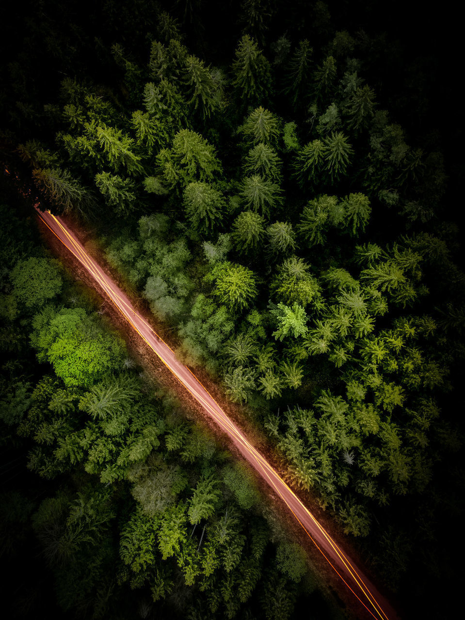 HIGH ANGLE VIEW OF RAILROAD TRACK AMIDST TREES