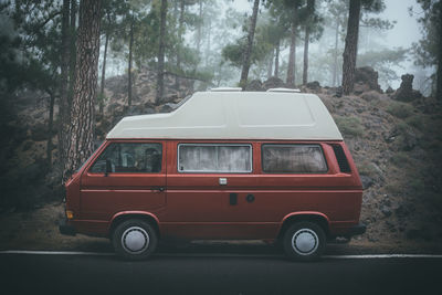 Red vintage car on tree