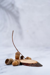 A minimalistic scene of a podium with wood and acorns on white