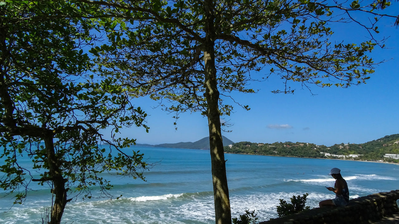 SCENIC VIEW OF SEA AND TREE AGAINST SKY