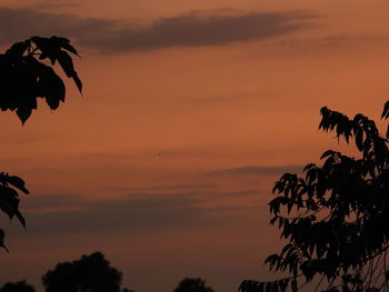 Low angle view of silhouette trees against romantic sky at sunset