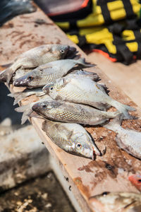 High angle view of fish on table at market