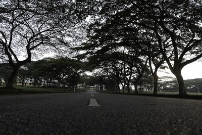 Road amidst bare trees against sky