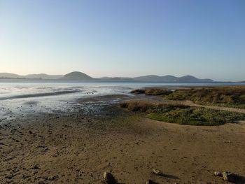 Scenic view of beach against clear sky