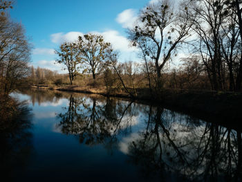 Reflection of trees in lake against sky