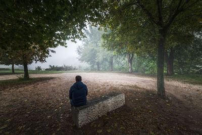 Rear view of mature man sitting on seat at park