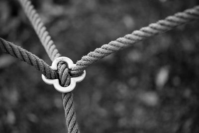 Close-up of inter connected ropes