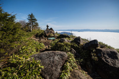 Rock formation by tree against sky