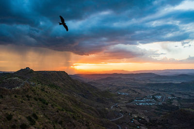 Bird flying over mountains during sunset