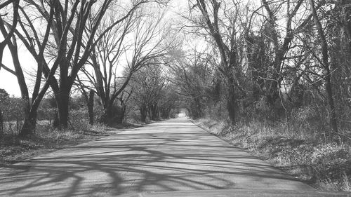 Empty road along trees