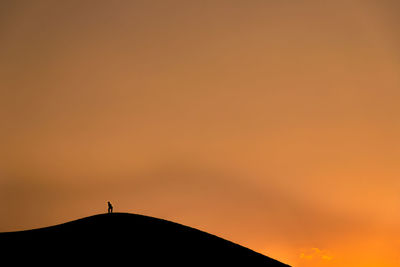 Silhouette person standing against orange sky