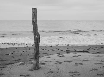 Wooden posts on beach against sky