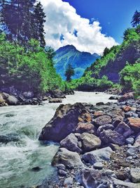 River flowing through rocks