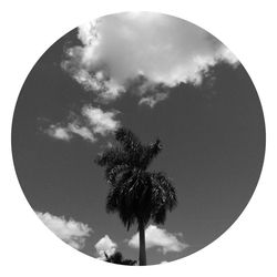 Low angle view of silhouette tree against sky