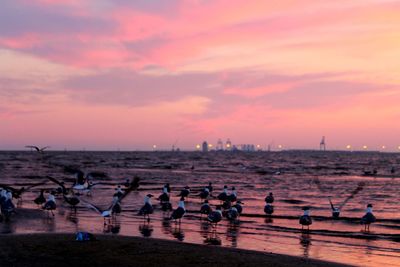 Group of people on beach against sky during sunset