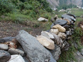 Stream flowing through rocks