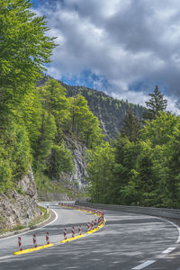 Road amidst trees against sky