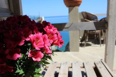 Close-up of flower bouquet