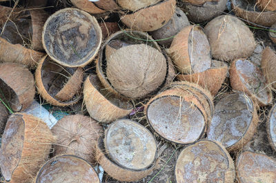 Full frame shot of logs in forest