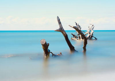 Dead tree on beach against sky