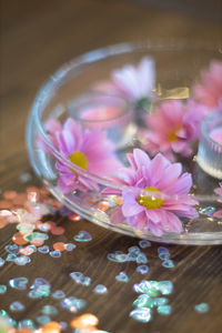 Close-up of pink flowering plant on table