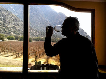 Man drinking wineglass by window at home 