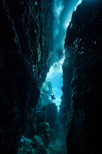 Person scuba diving undersea