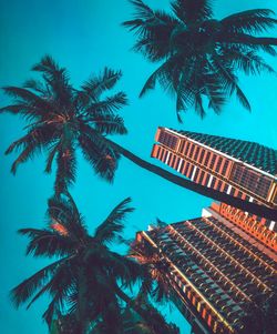 Low angle view of palm trees against blue sky