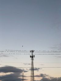 Low angle view of silhouette birds against sky